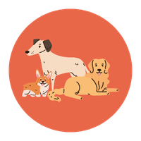 Dogs