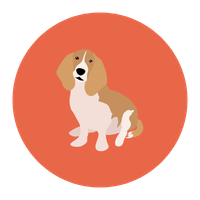 Medium Breeds